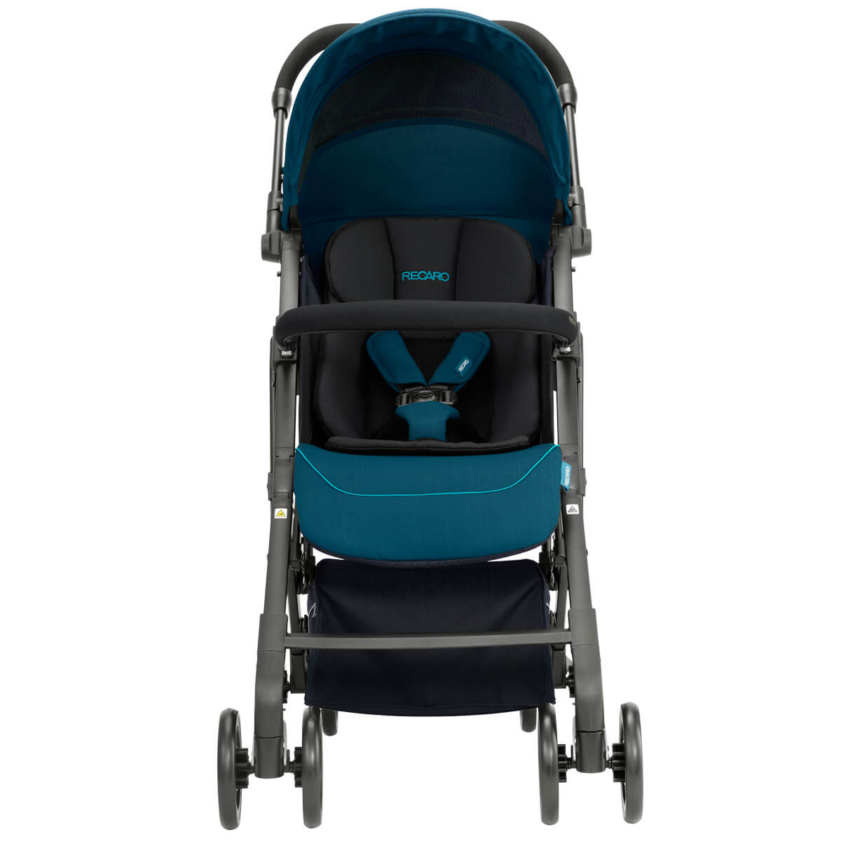 Marela voziček RECARO Easylife Elite 2 – Mat Black 5