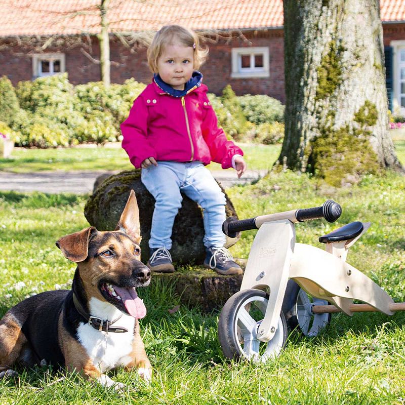 Lesen trikolesnik in poganjalec Pinolino Charlie, natur 7